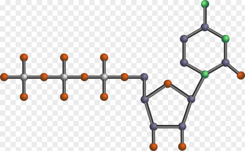 Longevity Adenosine Triphosphate Chemistry Molecule Clip Art PNG