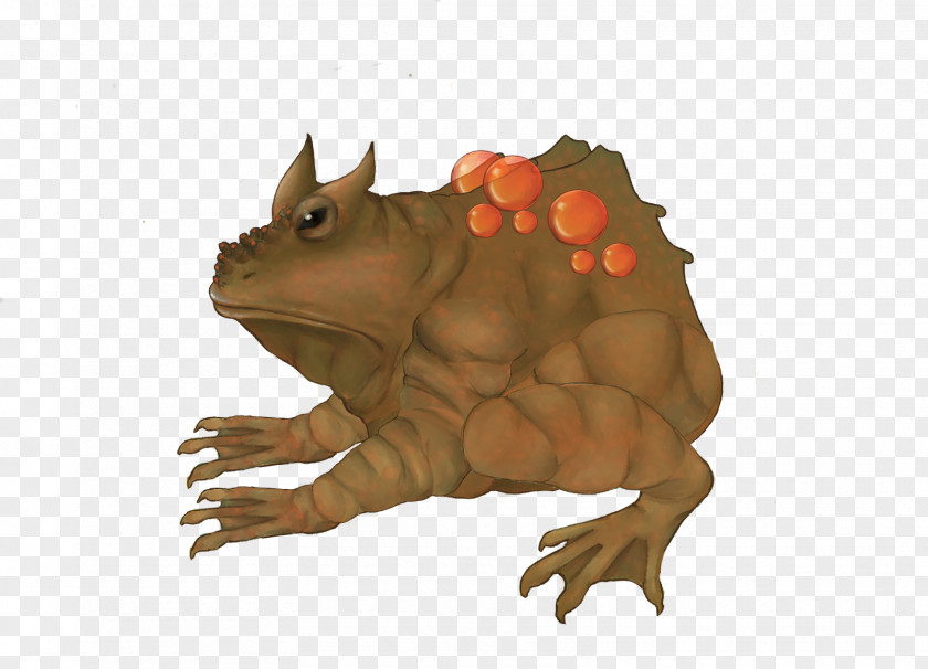 Toad Reptile Terrestrial Animal Snout Character PNG