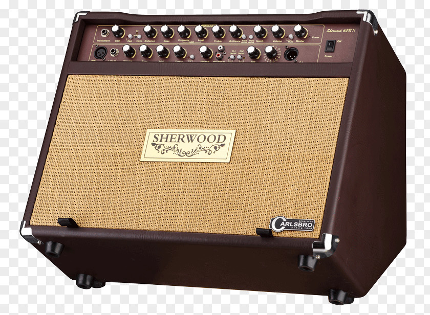 Acoustic Guitar Amplifier Carlsbro PNG