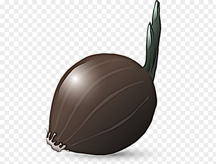 Chocolate Plant PNG