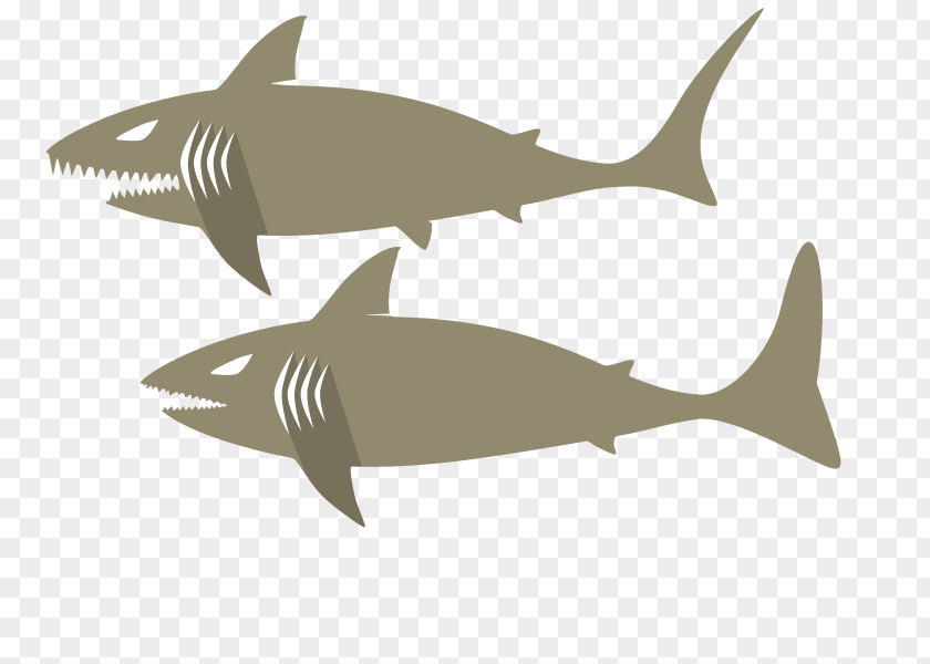 Fish Tiger Shark Squaliform Sharks Requiem Oceanic Whitetip Cartilaginous Fishes PNG