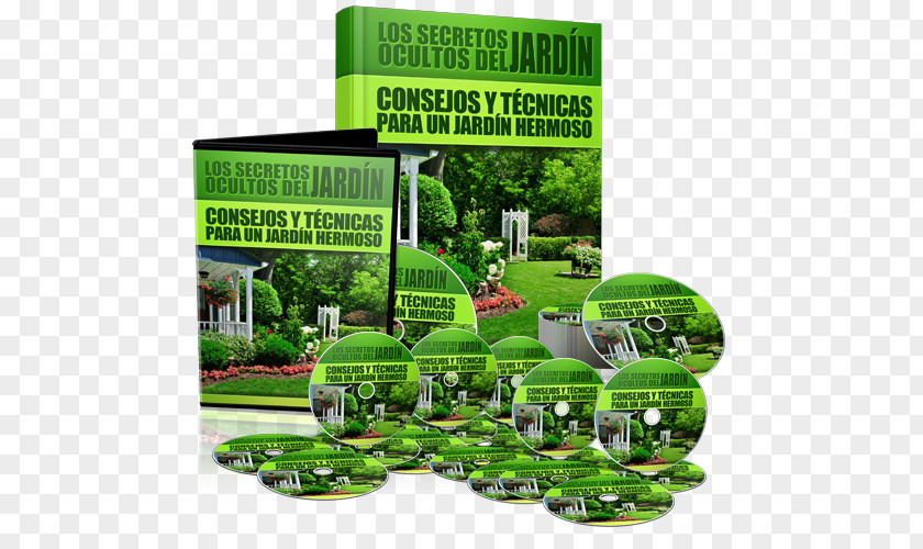 House Garden Landscaping Lawn PNG