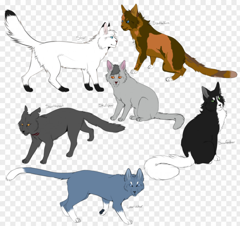 Lonely Back Kitten Warriors Whiskers Cat SkyClan's Destiny PNG