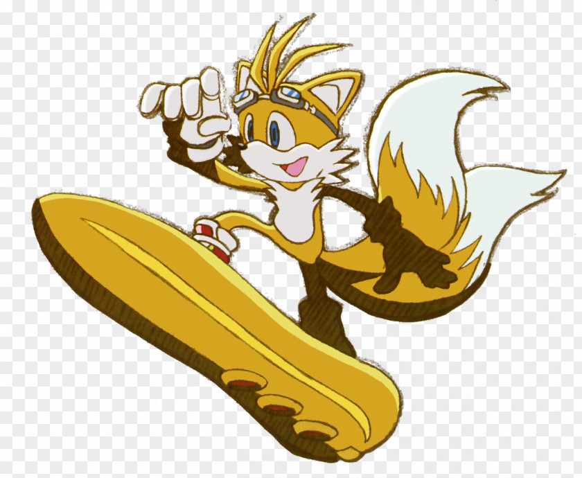 Rider Sonic Riders Tails The Hedgehog Adventure Knuckles Echidna PNG