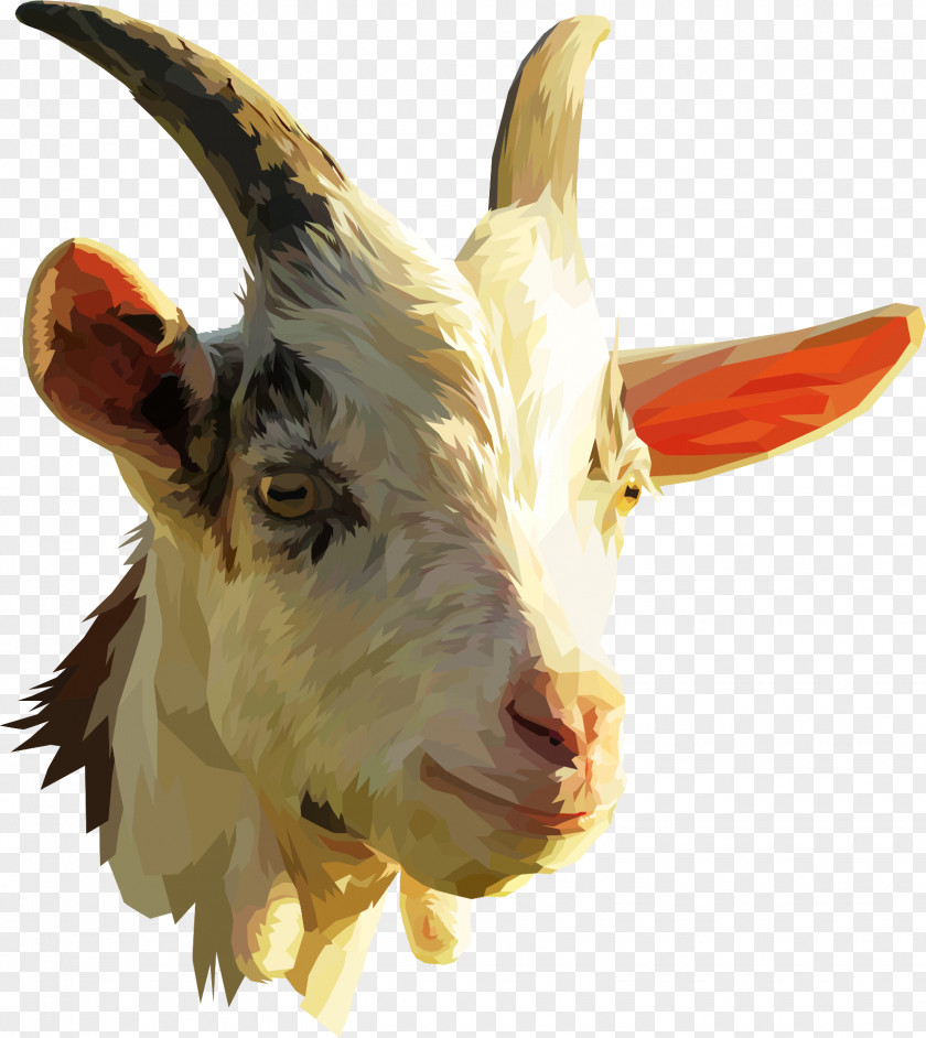 Sheep Nigerian Dwarf Goat Pygmy Clip Art Spanish PNG