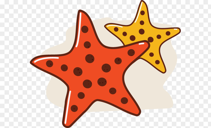 Decorative Elements Beach Tourism Starfish Clip Art PNG