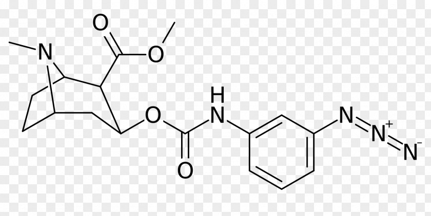 Molecular Structure Coca Alkaloid Tropane Point Cocaine Lewis PNG