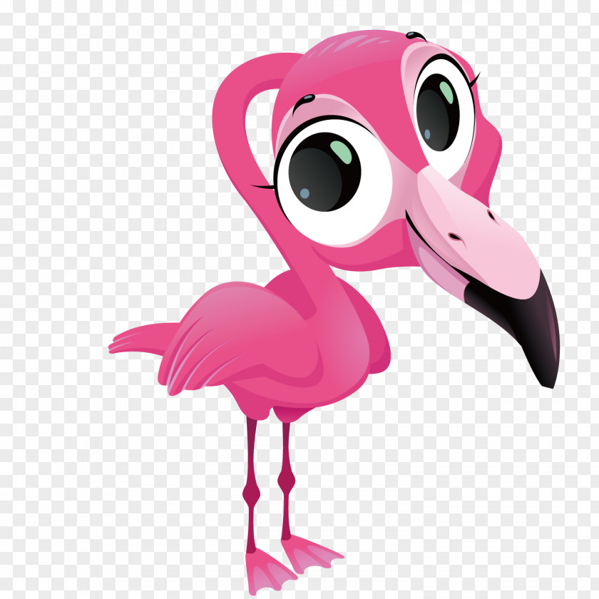 Vector Flamingo Those Funny Flamingos Cartoon PNG
