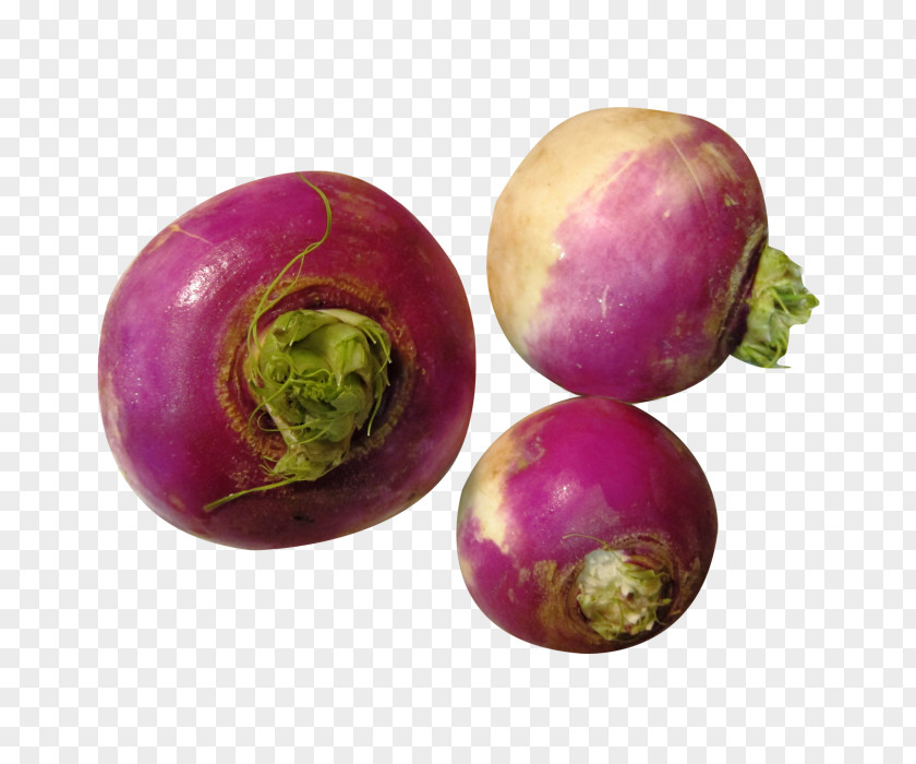 Vegetable Turnip Root Vegetables Rutabaga PNG