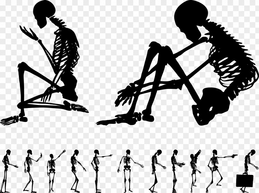 AC Posture Silhouette Vector Human Skeleton Bone Euclidean PNG