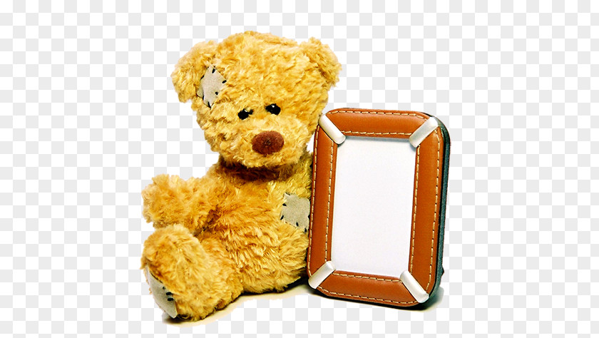 Bear Toy Frame Child Stock.xchng Stock Photography Royalty-free PNG