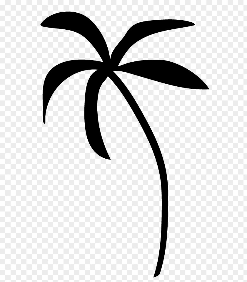 Black And White Tree Arecaceae Clip Art PNG
