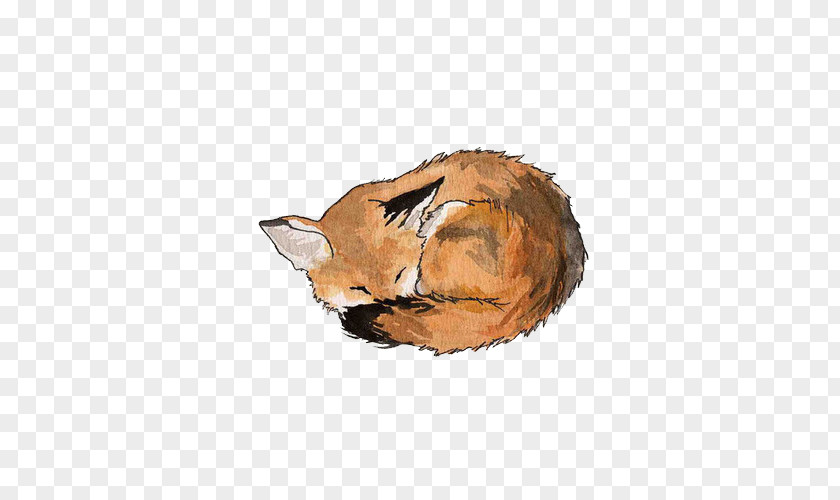 Fox Drawing Painting Art PNG
