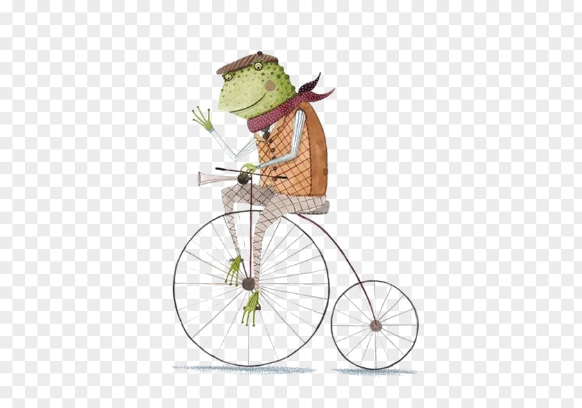 Frog Bicycle Wheel Drawing Illustration PNG