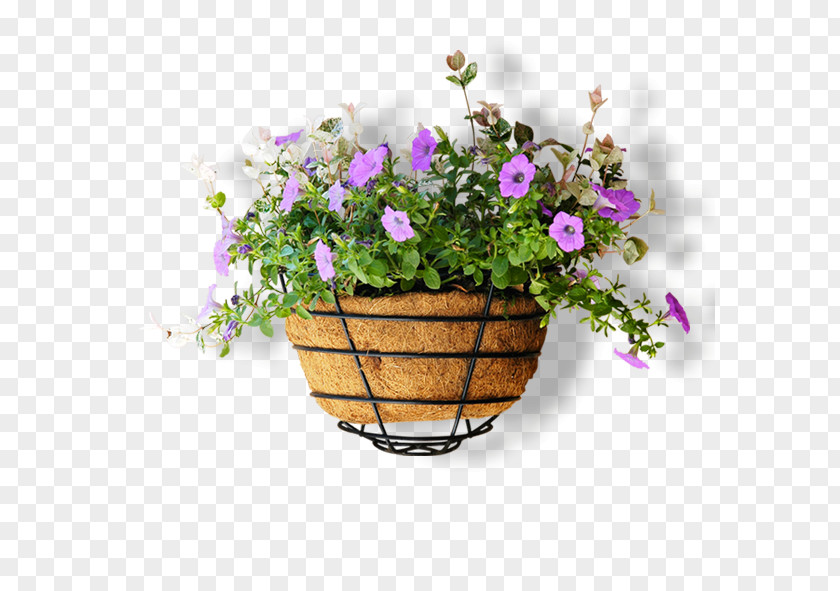 Full Of Small Purple Flower Pot Flowerpot Computer File PNG