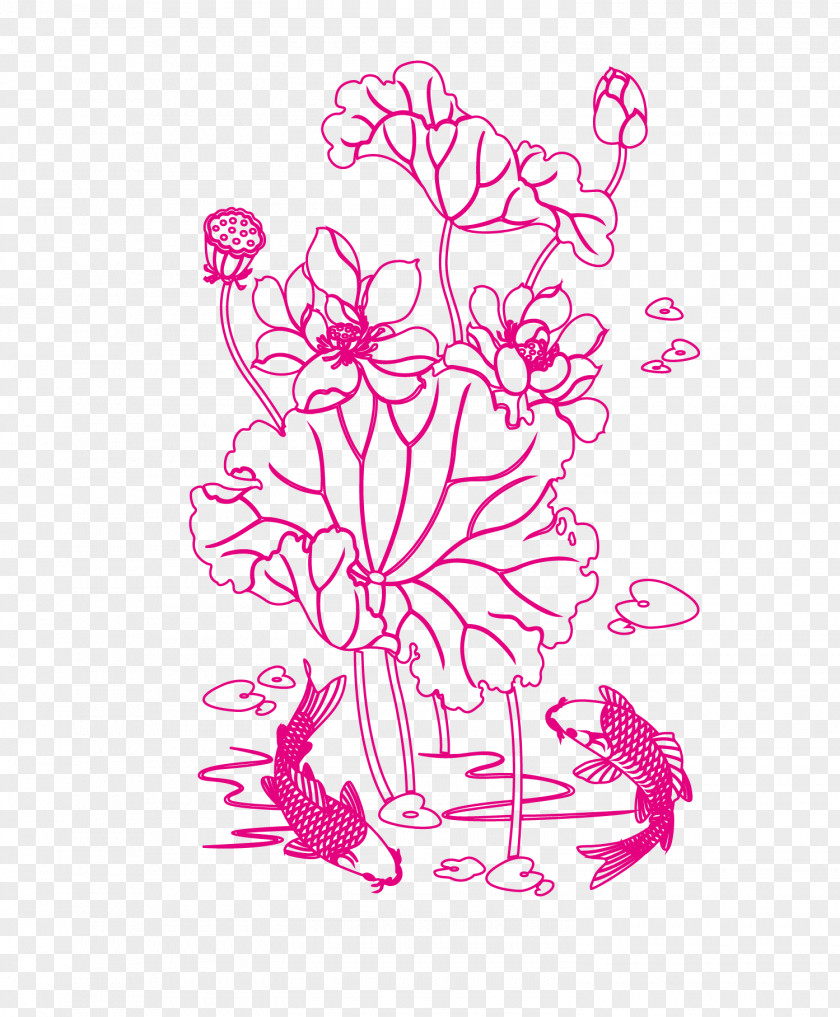 Lotus Line Floral Design Drawing Nelumbo Nucifera PNG