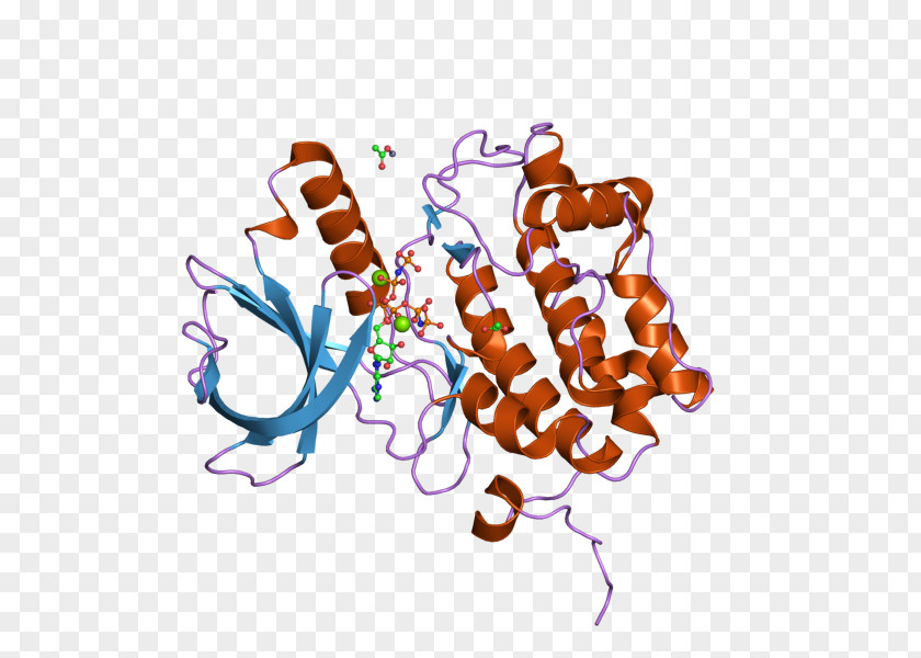 PLK1 Polo-like Kinase Protein Phosphopeptide PNG