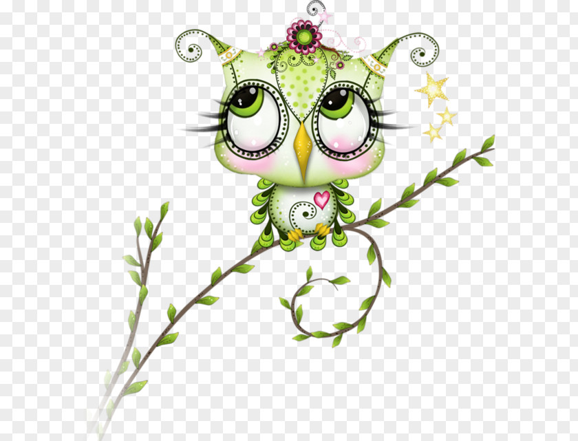 Big Eyes Owl Little Bird Drawing Visual Arts PNG