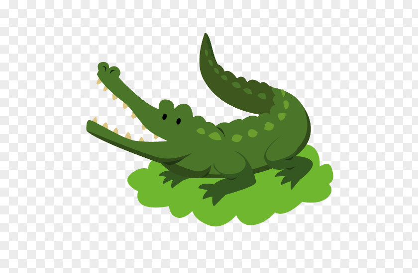 Green Crocodile Leather Nile Alligator Lion PNG