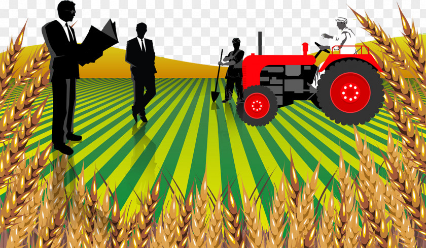 Land Wheat Harvest Illustration India Agriculture Rural Area Entrepreneurship Business PNG
