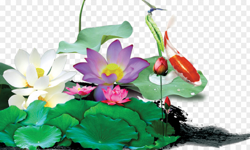 Lotus Chinese Wind Element Nelumbo Nucifera Chinoiserie Poster PNG