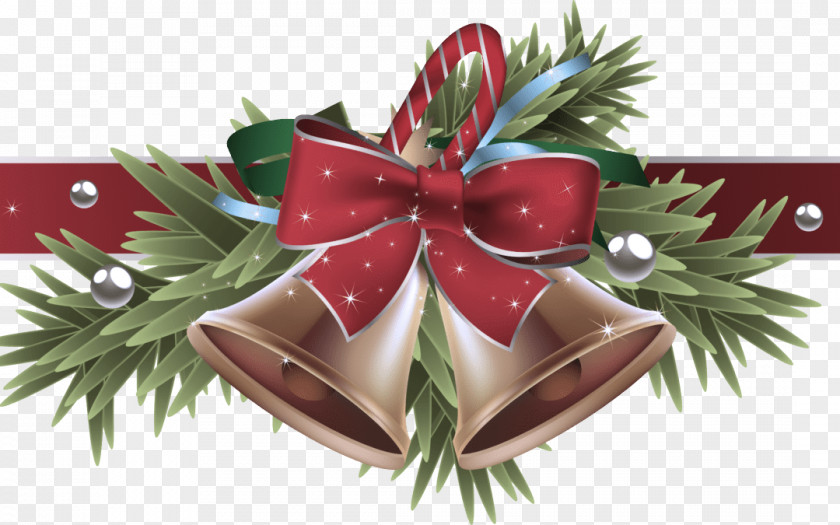 Christmas Decoration Pine Ornament PNG