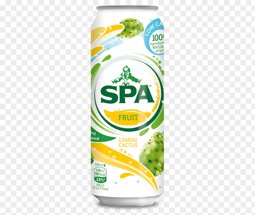 CITRUS Juice Lemonade Lemon-lime Drink Fruit Spa PNG