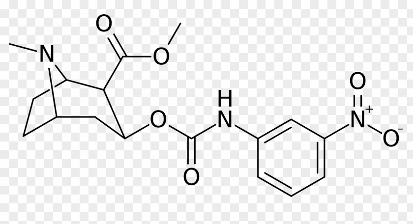 Cocain Troparil Structural Analog Dopamine Norepinephrine Transporter PNG