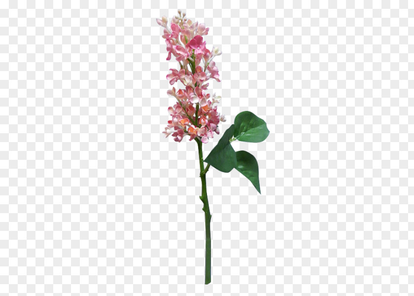 Lilac Flower Artificial Cut Flowers Plant Stem PNG
