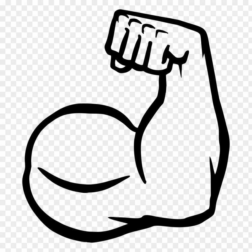 Muscles Muscle Arms Biceps Clip Art PNG