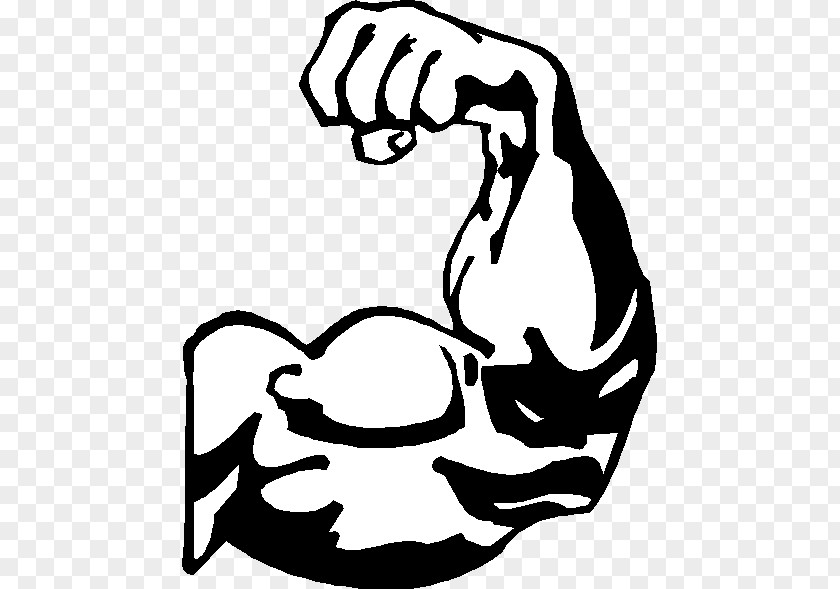 Muscular Strength Cliparts Arm Muscle Biceps Clip Art PNG