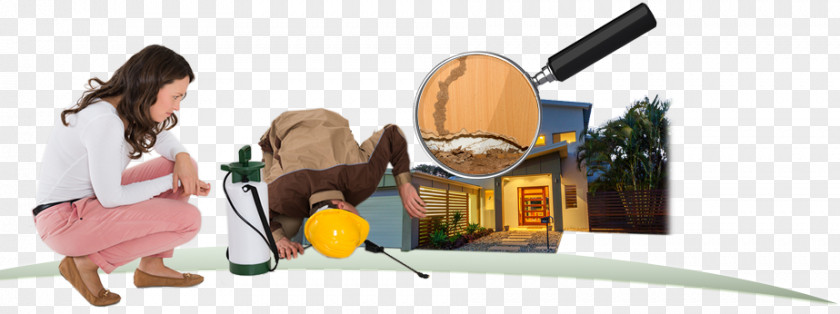 Pest Control Insect Business Termite PNG