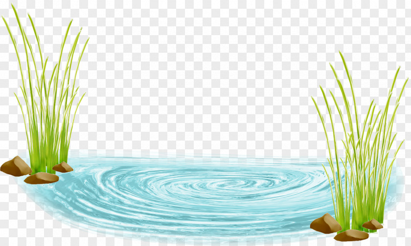 Seperation Desktop Wallpaper Pond Clip Art PNG