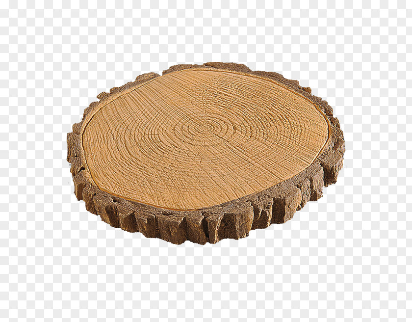 Trunk Tree PNG