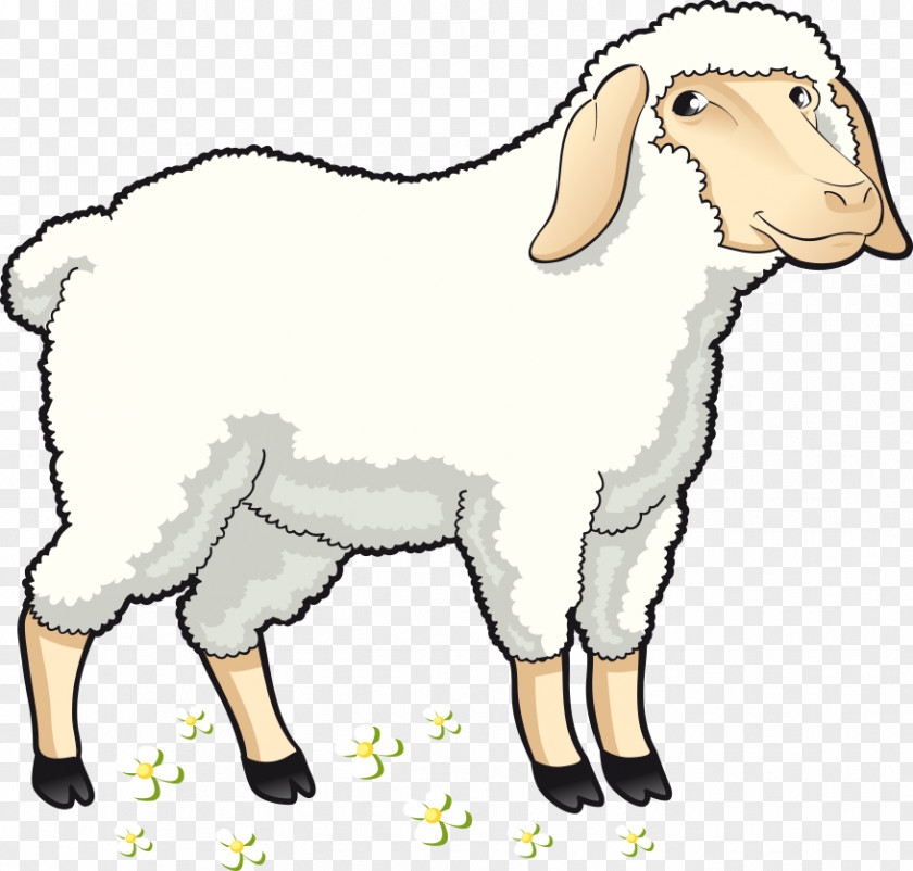 Vector Cartoon Sheep Goat Clip Art PNG