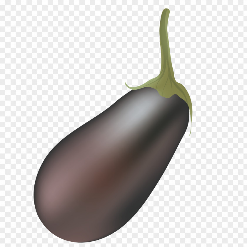Vector Small Eggplant PNG