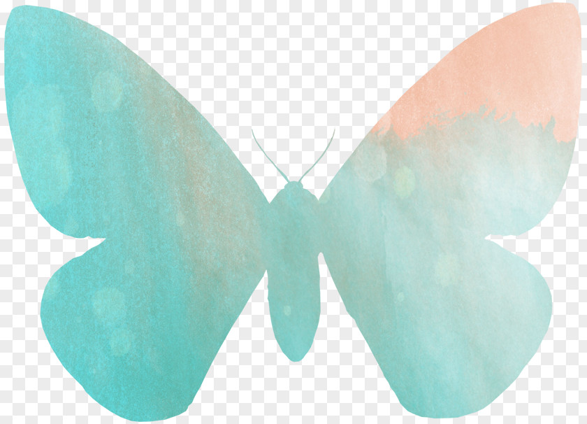 Watercolor Butterfly Papilio Demoleus Painting Battus Philenor Grosesmithi PNG