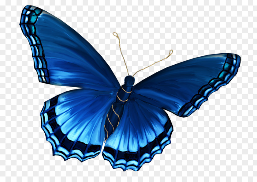 Butterfly Butterflies & Insects Clip Art PNG