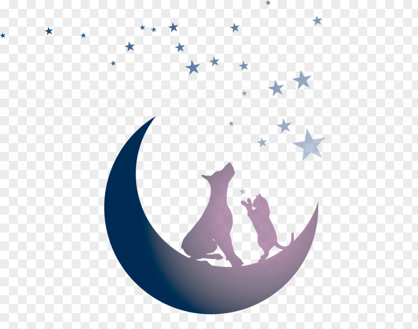 Moon Background Tails By Twilight Gala Cat YouTube The Saga PNG