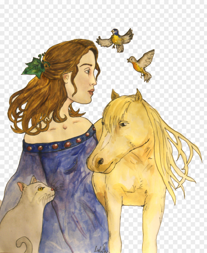 Mustang Fairy Mythology Freikörperkultur PNG