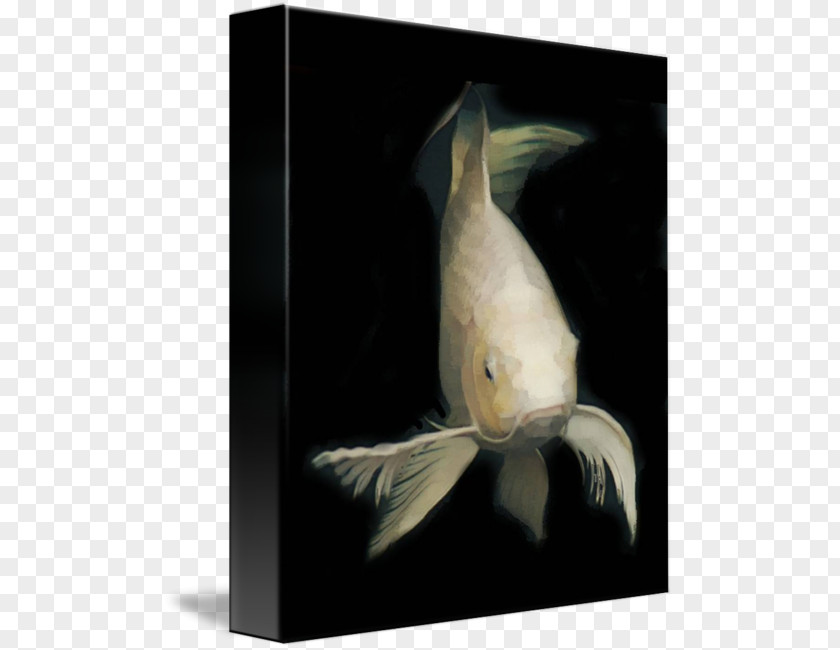 Painting Koi Gallery Wrap Canvas Art PNG