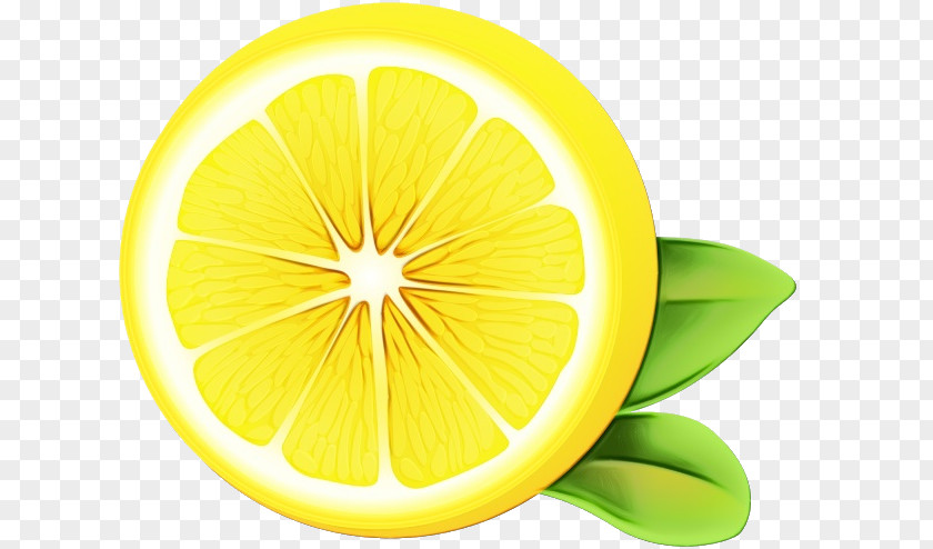 Plant Leaf Lemon Citrus Yellow Green Lime PNG