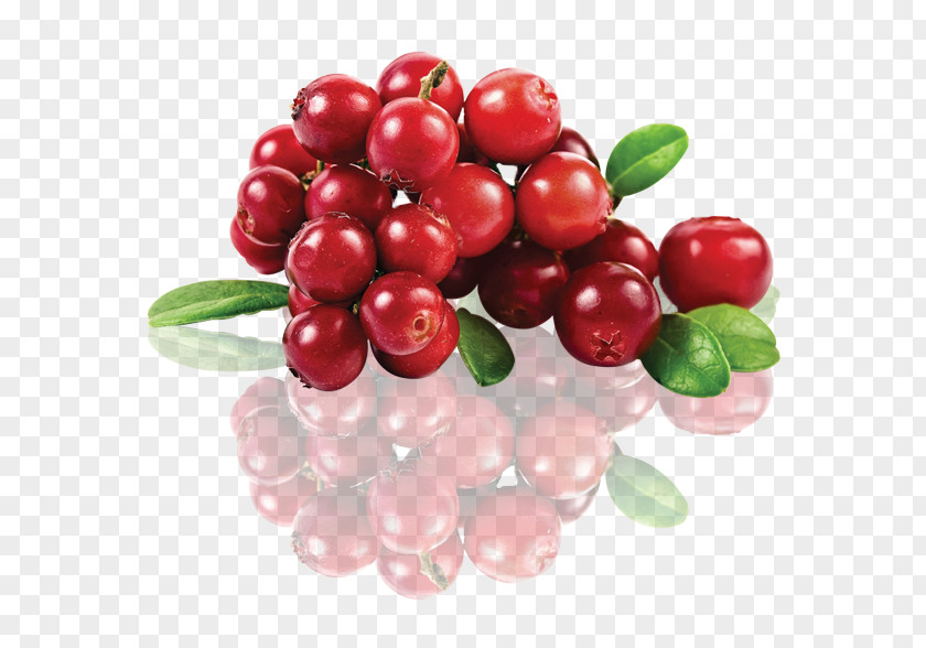Cranberries Frame Juice Cranberry Berries Lingonberry Extract PNG