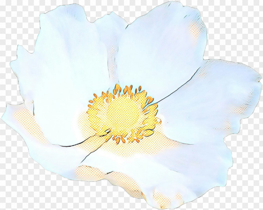 Cut Flowers Wildflower White Flower Petal Yellow Plant PNG