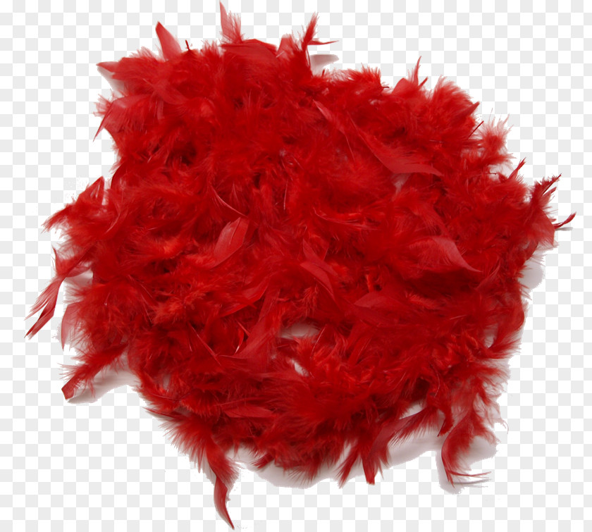 Plumas Feather Boa Clothing Accessories PhotoScape PNG