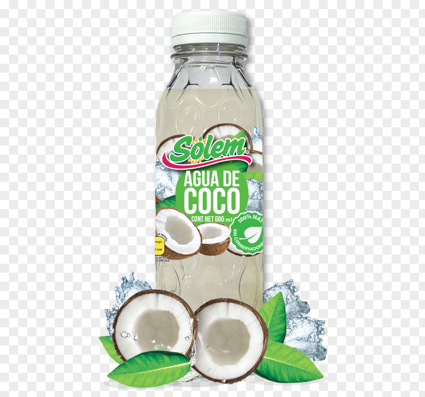 Tea Coconut Water Aguas Frescas Hibiscus PNG