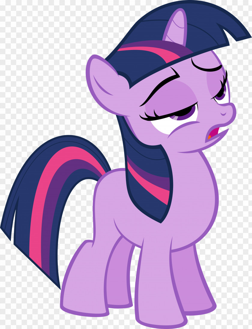 Blink Vector Twilight Sparkle Rainbow Dash Rarity Pinkie Pie My Little Pony PNG