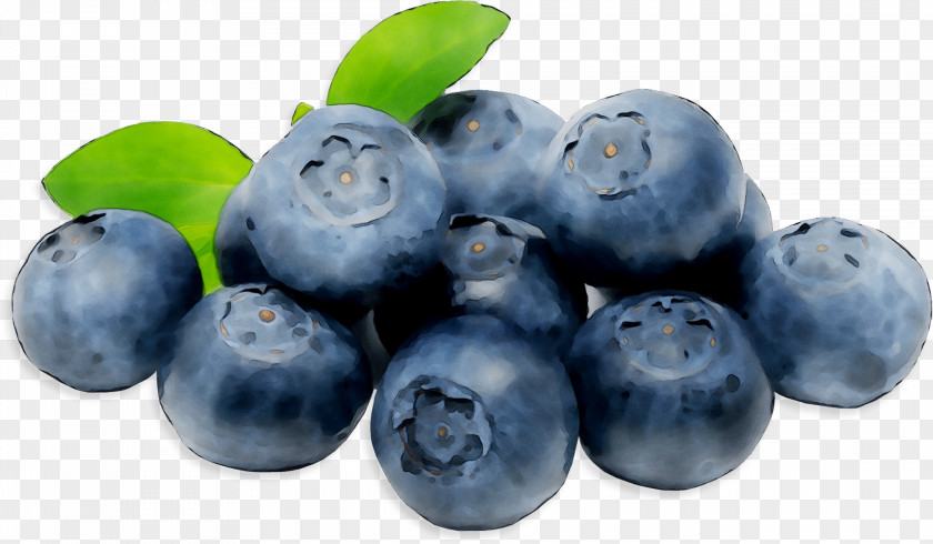 Blueberry Bilberry Superfood Product PNG