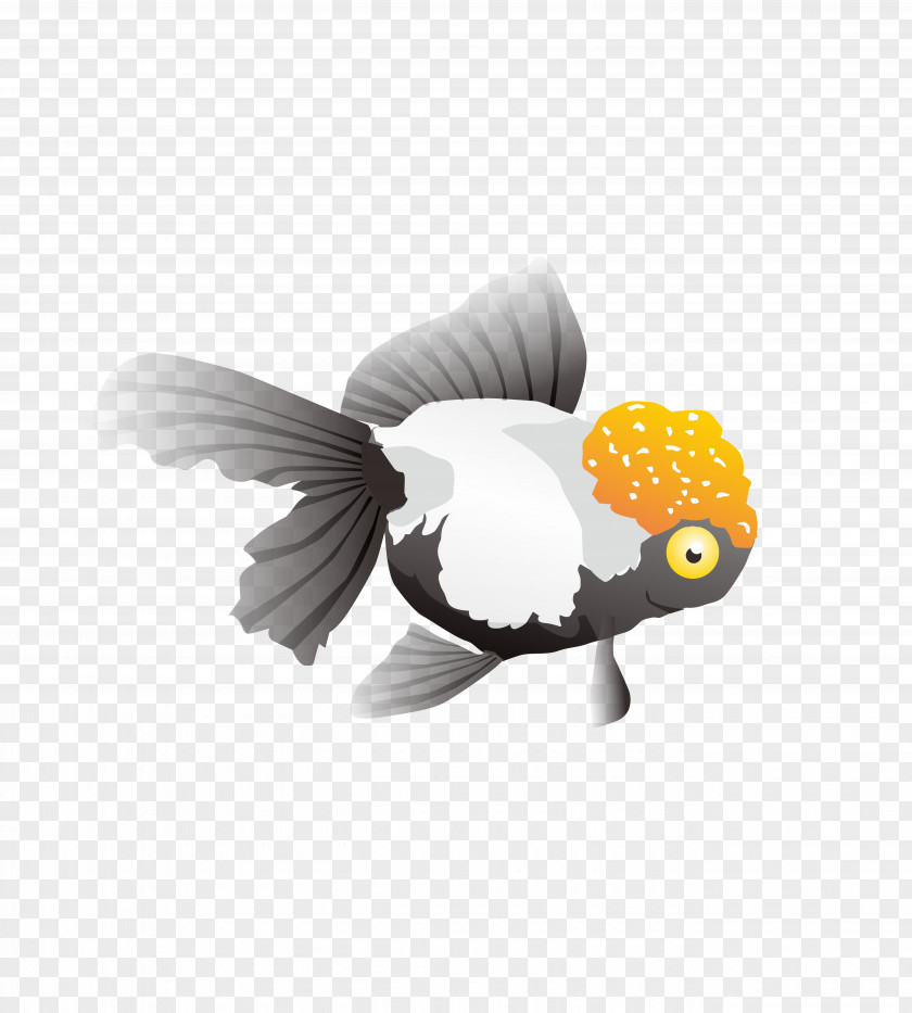 Cartoon Fish Goldfish CorelDRAW PNG