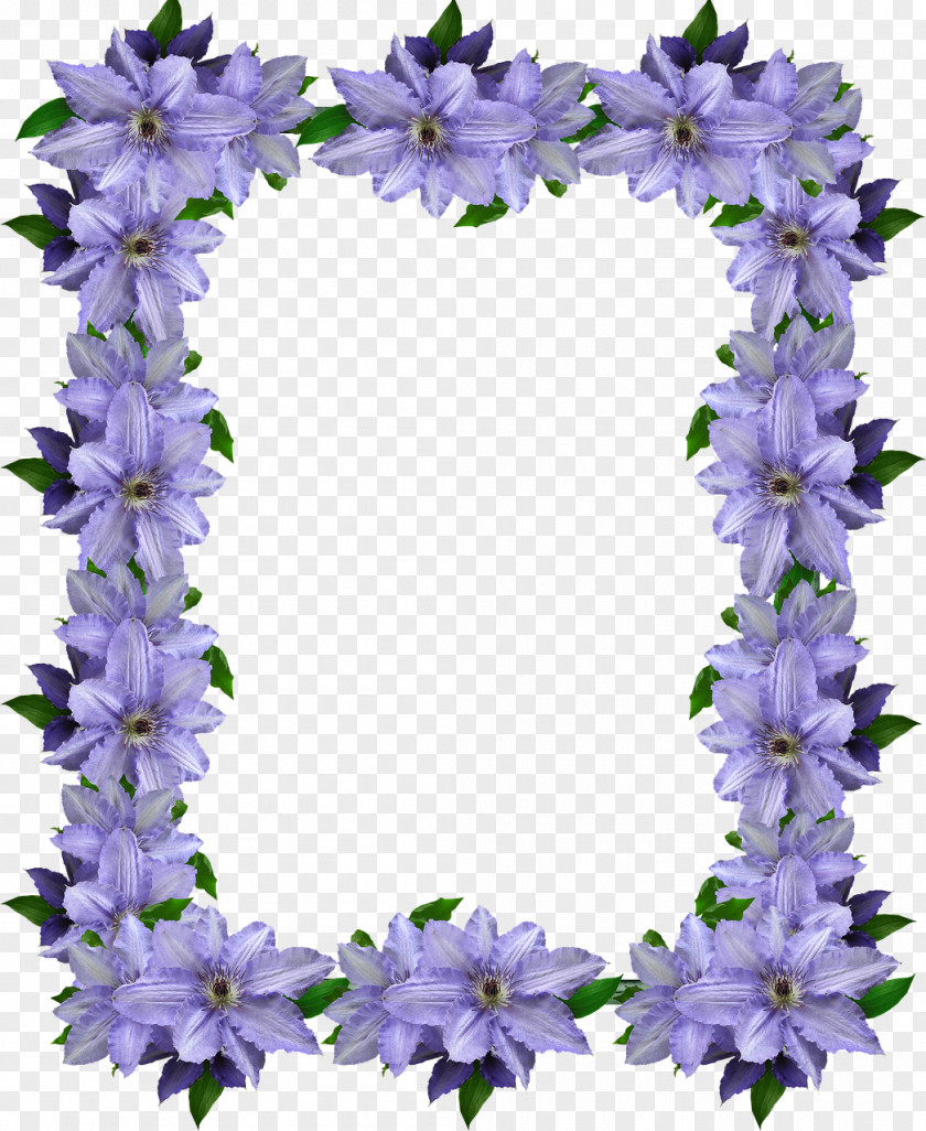 Clematis Frame Larkspur Floral Design PNG